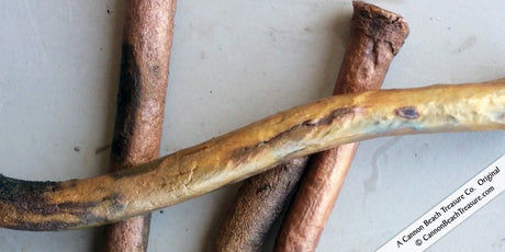 VIDEO: Admiral Gardner Bronze Shipwreck Spikes